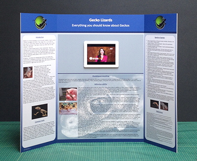 Science Poster Board Display