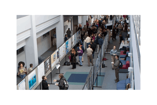 Groups & Conferences