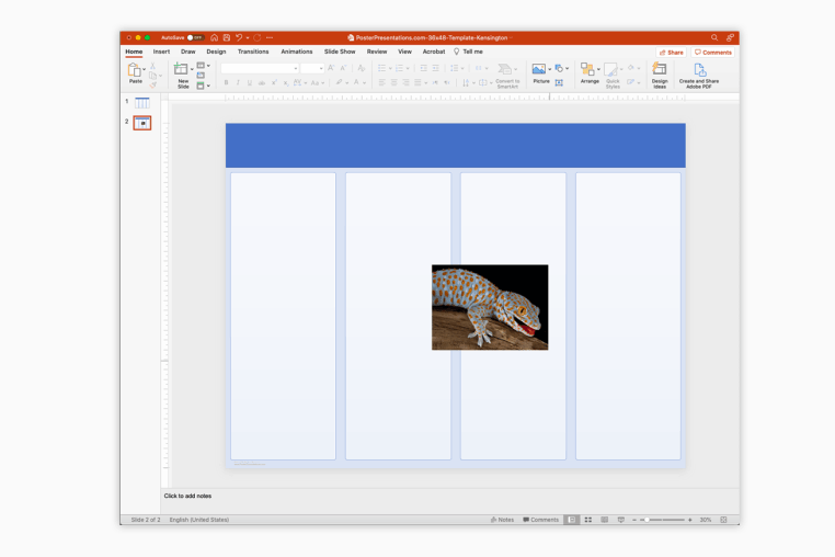 How to add pictures to the poster template