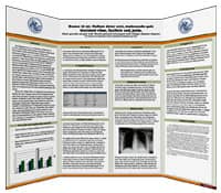 trifold_graphic-small