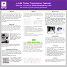 44x44 NYU research poster template