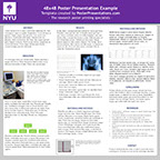 48x48 NYU research poster template