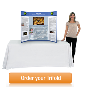 Science Fair Trifold Poster Board