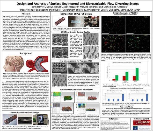 Flow-Diverting Stent